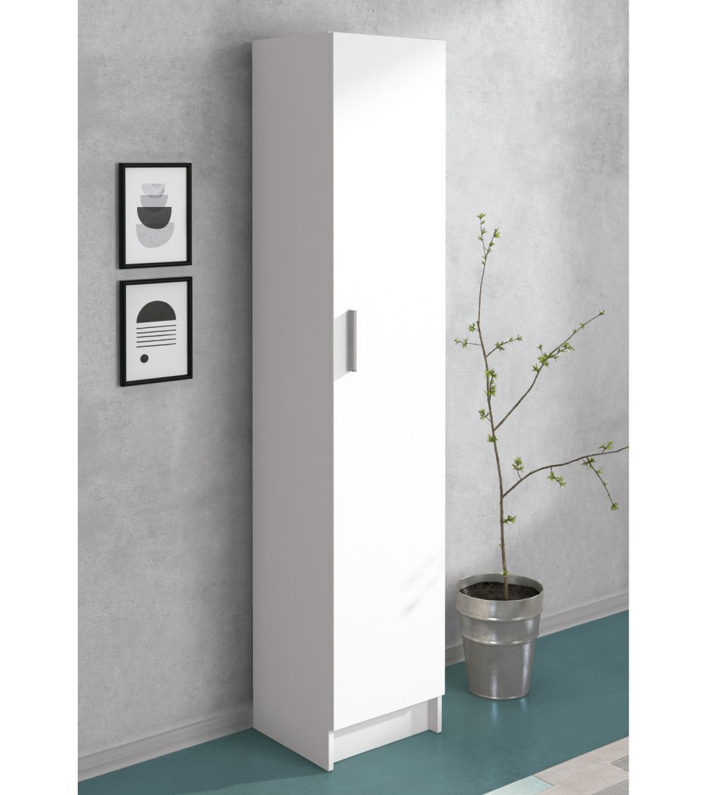 Armario Multiusos 1 Puerta AVA