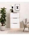 Mueble zapatero CHASE 3 puertas