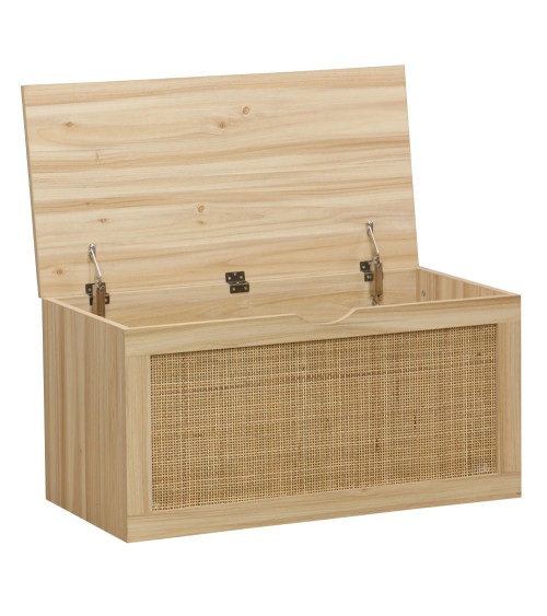 Baúl de almacenaje de ratán CAMILE