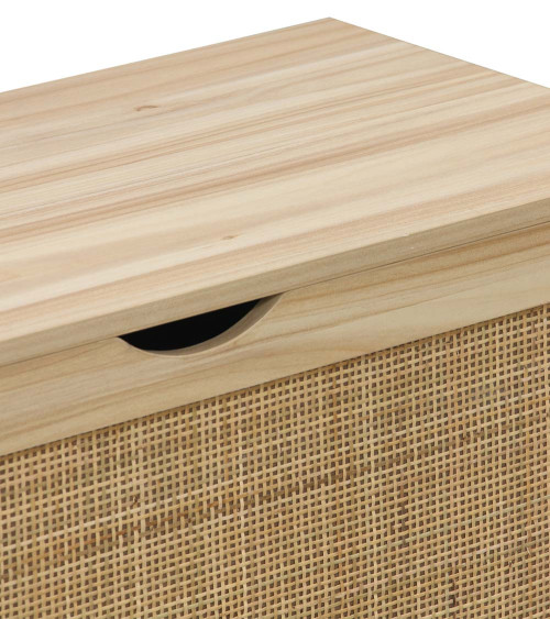 Baúl de almacenaje de ratán CAMILE